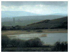 Environmental Archaeology
